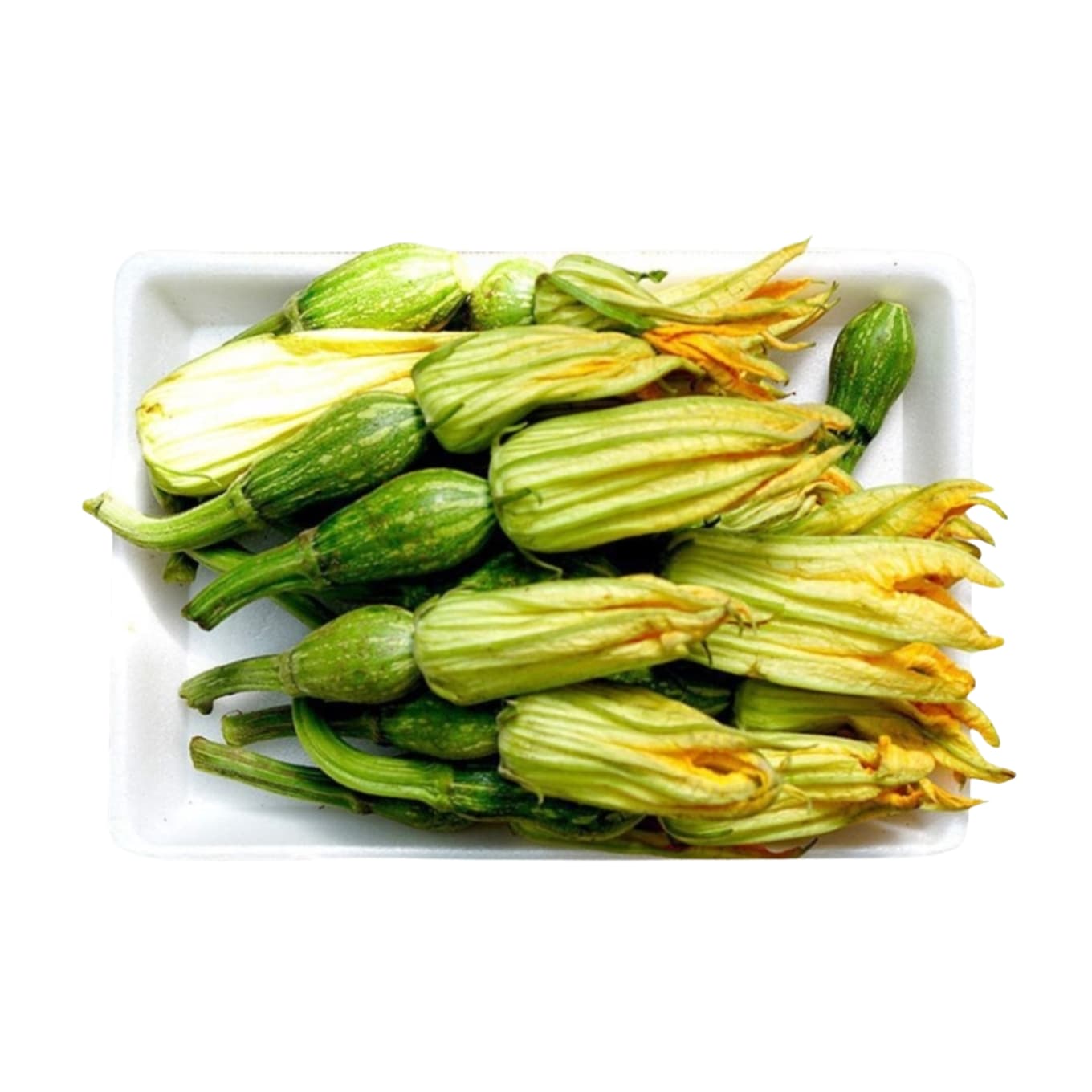 Bí nụ