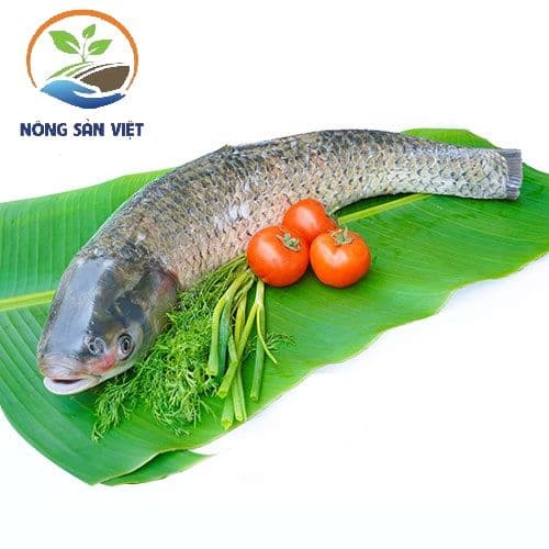 Cá trắm làm sạch