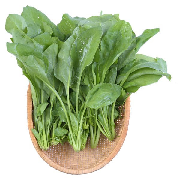 Cải bó xôi