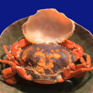Cua cốm