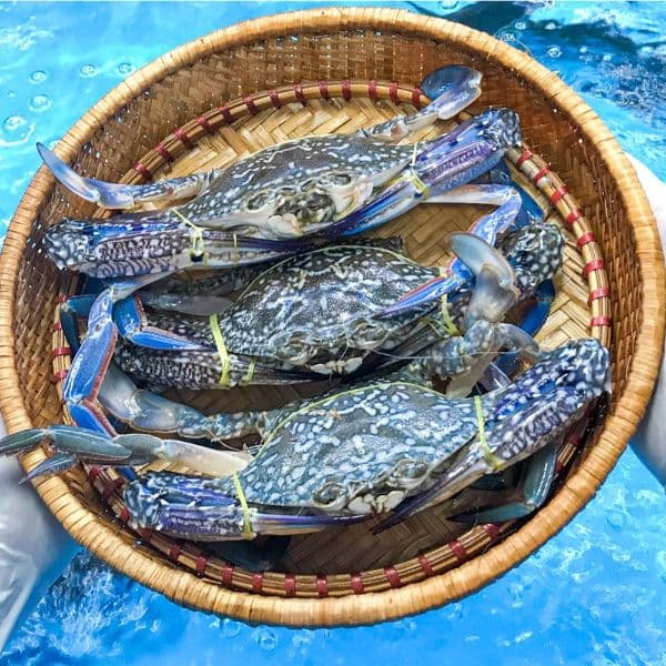 Ghẹ xanh bông (size 3-4 con/ kg)