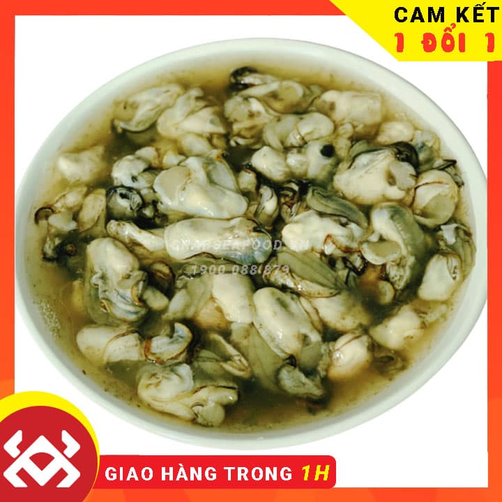 Hàu sữa tách vỏ