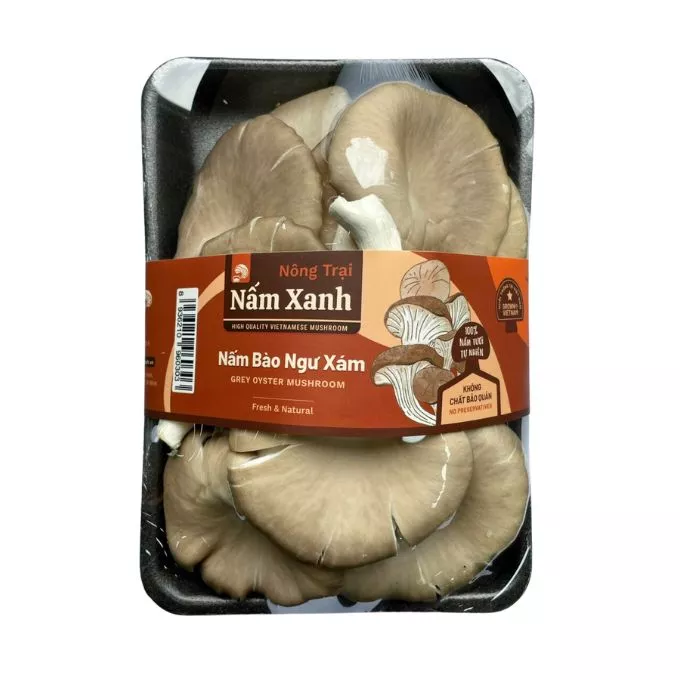 Nấm bào ngư