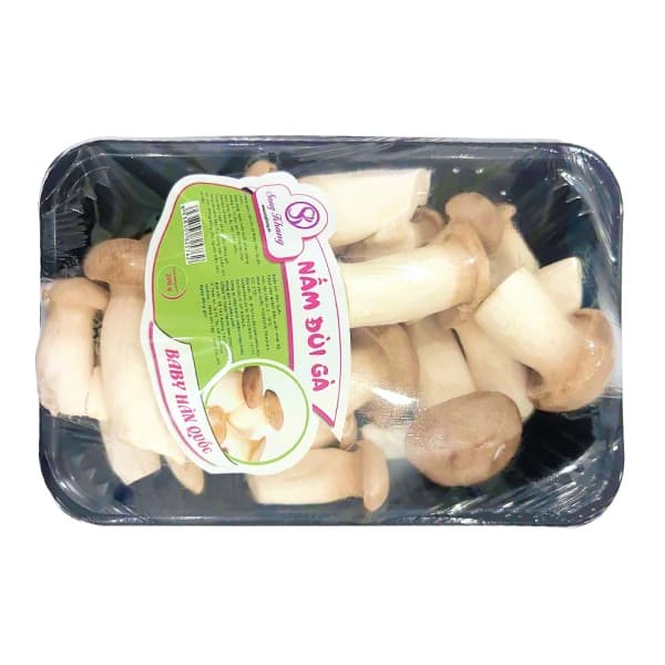 Nấm đùi gà nhỏ
