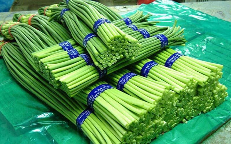 Ngồng tỏi