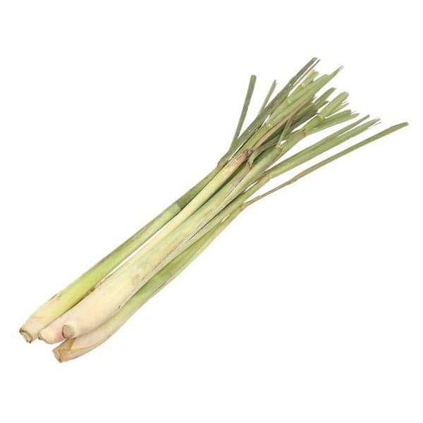 Sả cây
