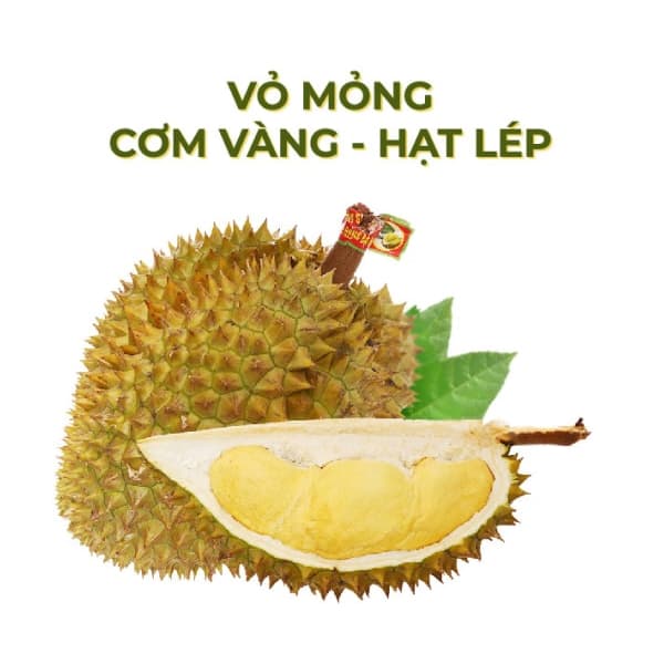 Sầu riêng ri 6