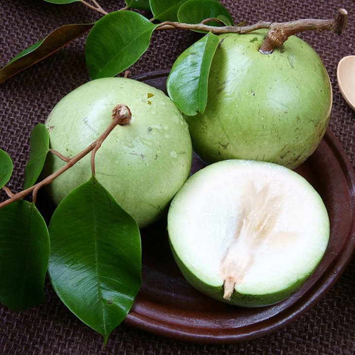 Vú sữa