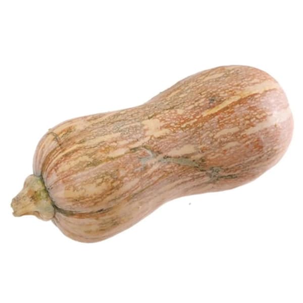 Bí đỏ chín hồ lô