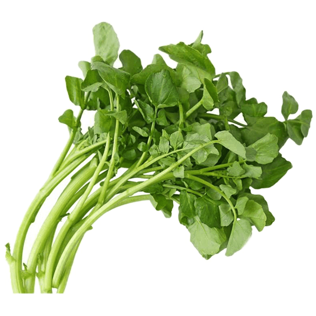 Cải xoong