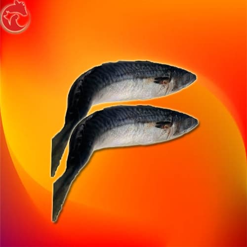 Đông lạnh - cá sapa nhật