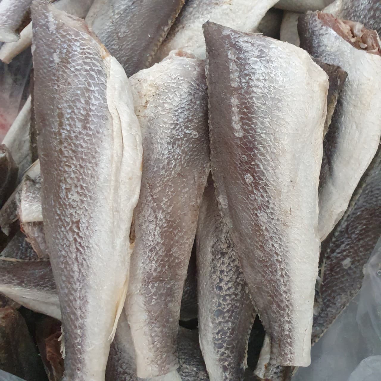Khô cá đù
