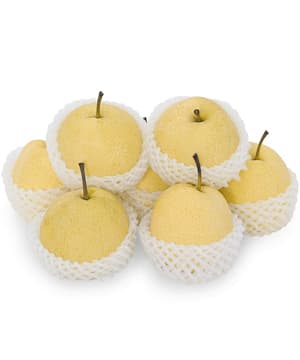 Lê đường