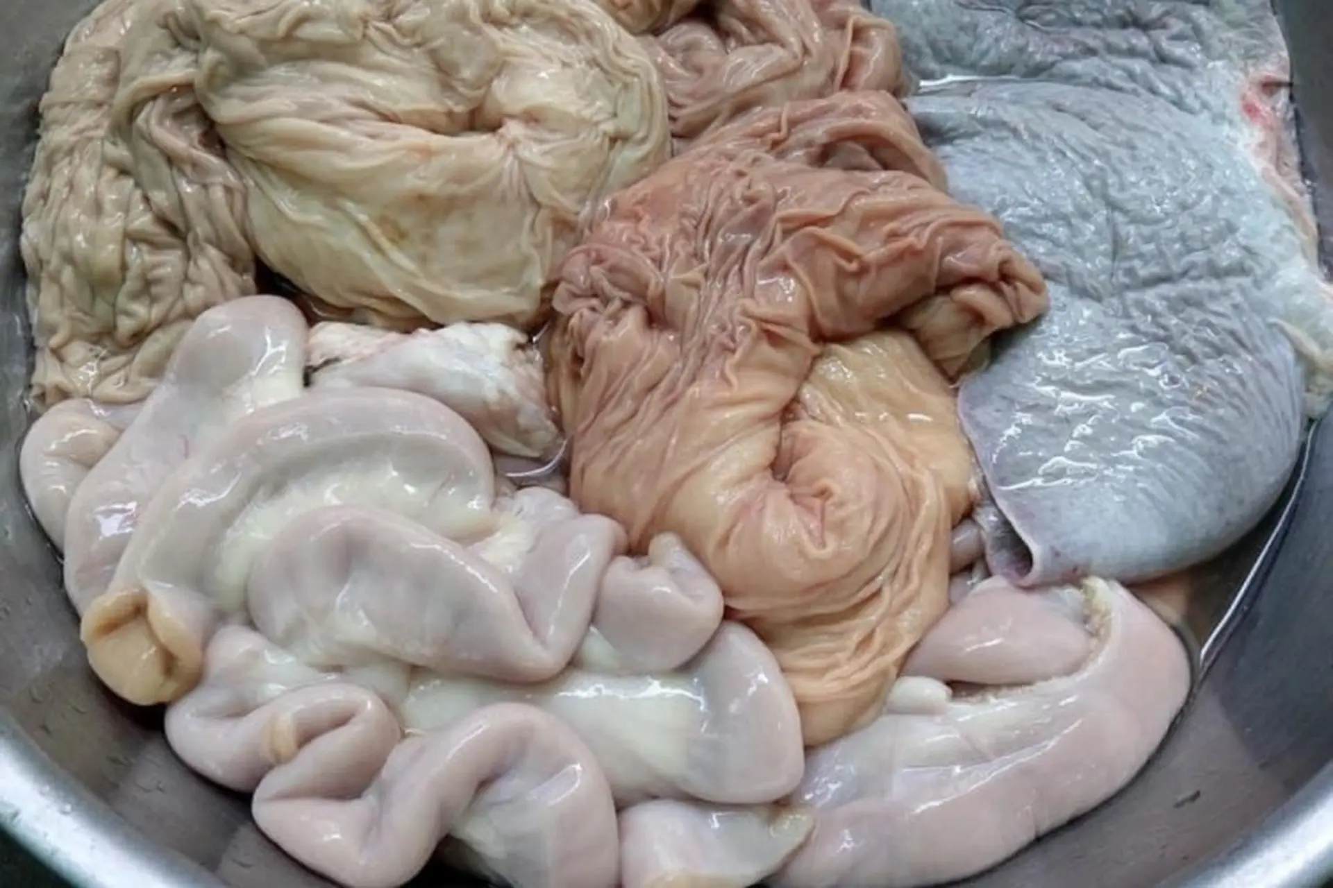 Lòng bò