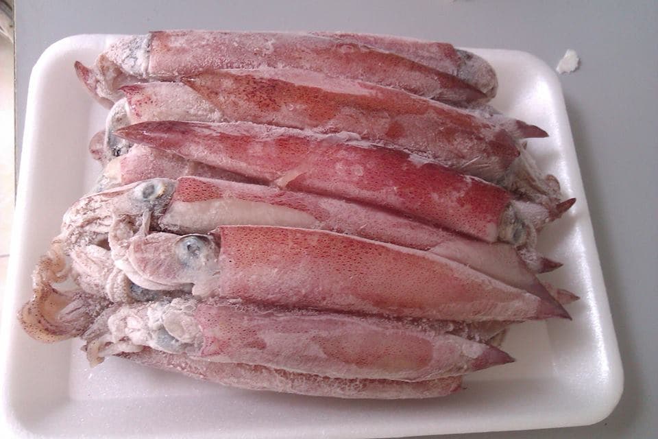 Mực đông lạnh