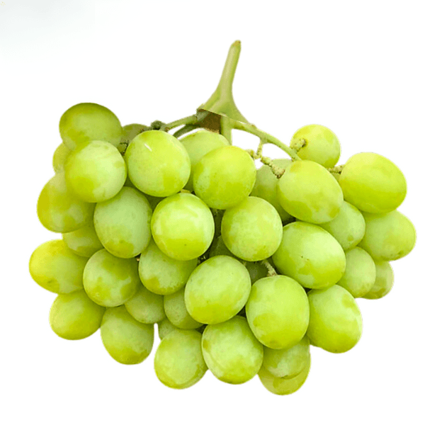 Nho mỹ