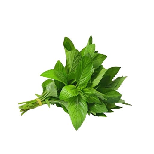 Rau húng cây