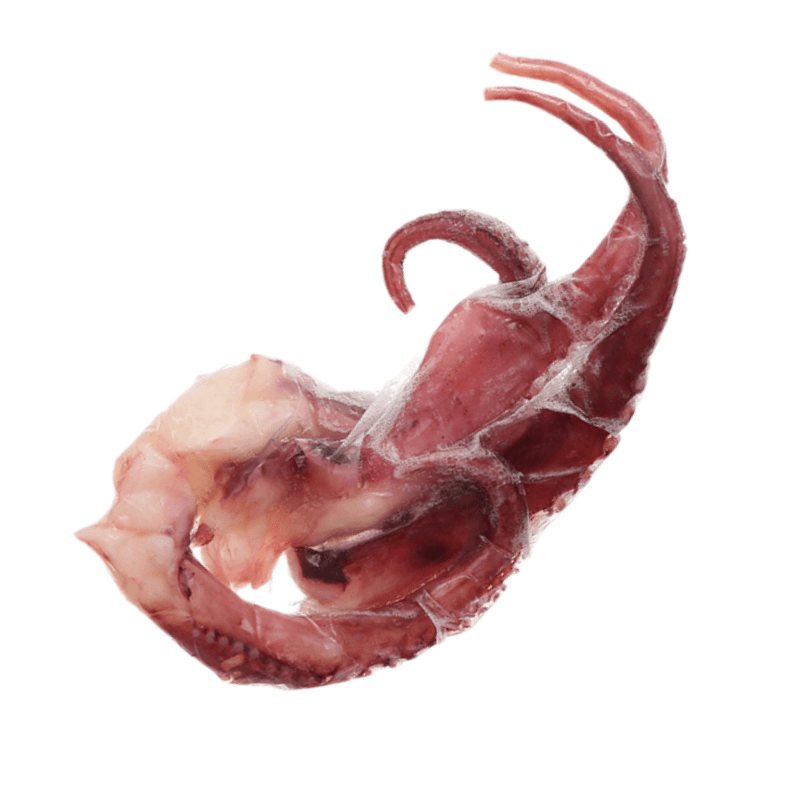 Râu mực đông lạnh