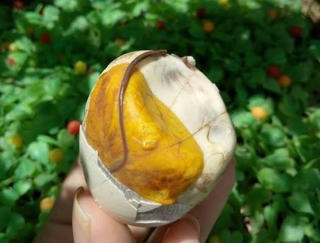 Trứng gà lộn