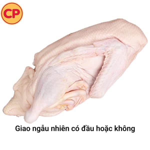 Vịt làm sạch