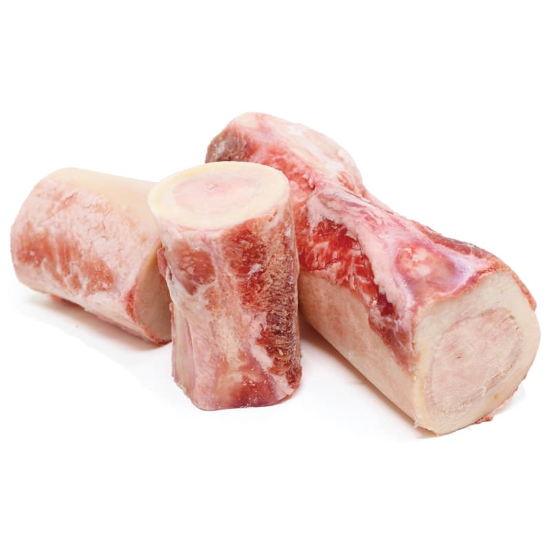 Xương bò